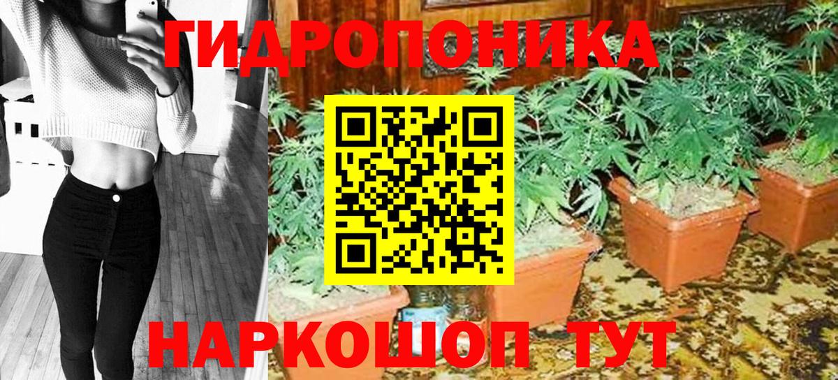 Конопля Bruce Banner  Вход с VPN  Ишимбай  Бошки марихуана Bruce Banner 